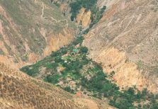 Oasis-Sangalle-Colca